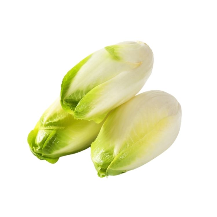 Chicory Organic Sachet 300g