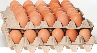 180 Large Size Eggs