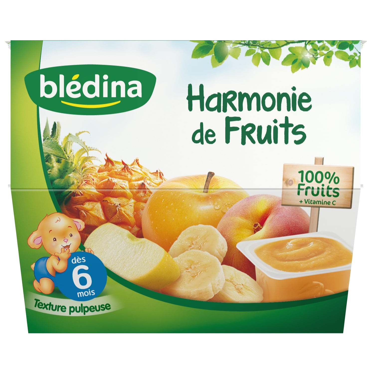 Bledina Bledi'Fruits Fruits Harmony 8x100g from 6 months