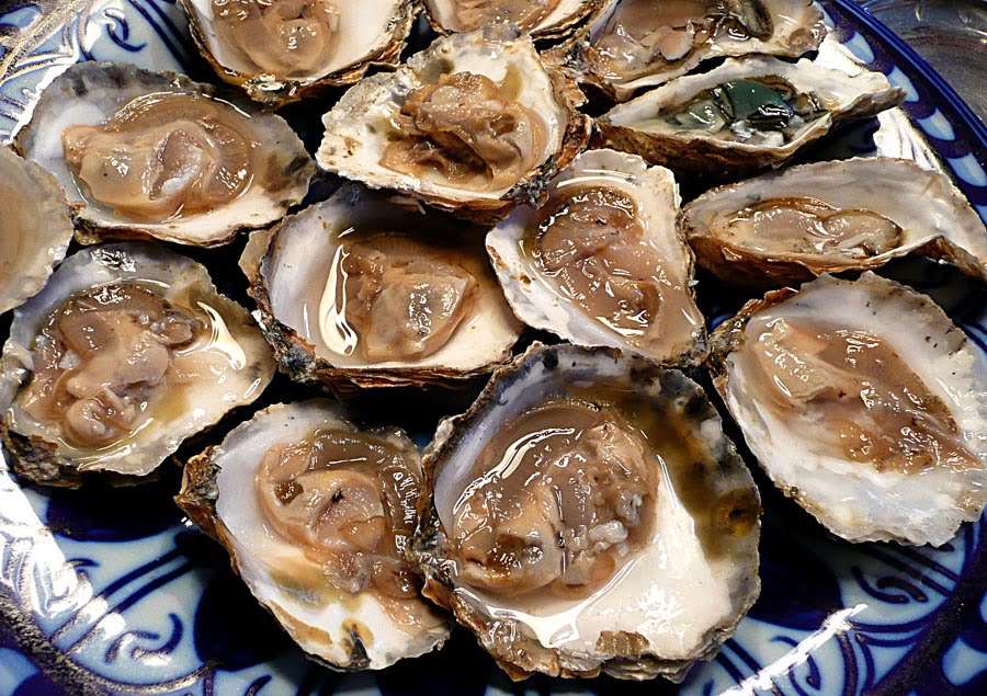 Flat Oysters from Belon medium size N1x25