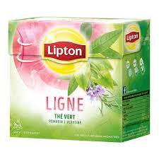 Lipton LIGNE Green Tea Rosemary and Verbena x 20 sachets