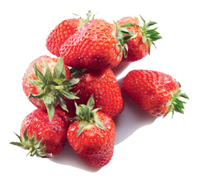 Mariguette Strawberry France 800g