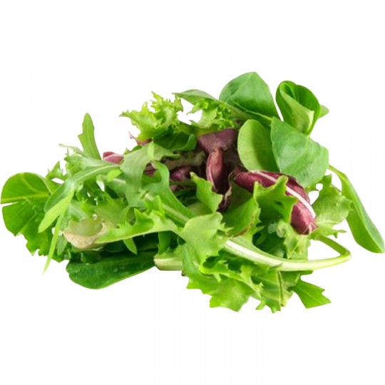 Mixed Young Salad European Union 1kg
