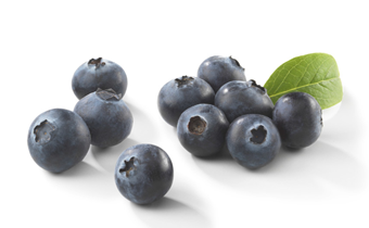 Organic Blueberry Portugal 750g