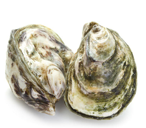 Oysters Fines De Claire N°3 x48 4kg