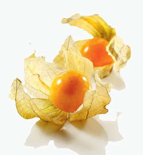Physalis Colombia 100g