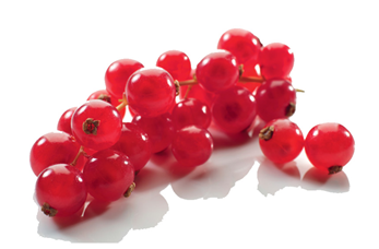 Red Currant Tray 125g