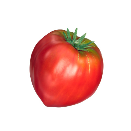 TOMATO COEUR DE BOEUF CHAILLY FRANCE 3.5KG 3.5g