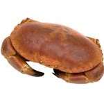 Whole Cooked Crab* 500g